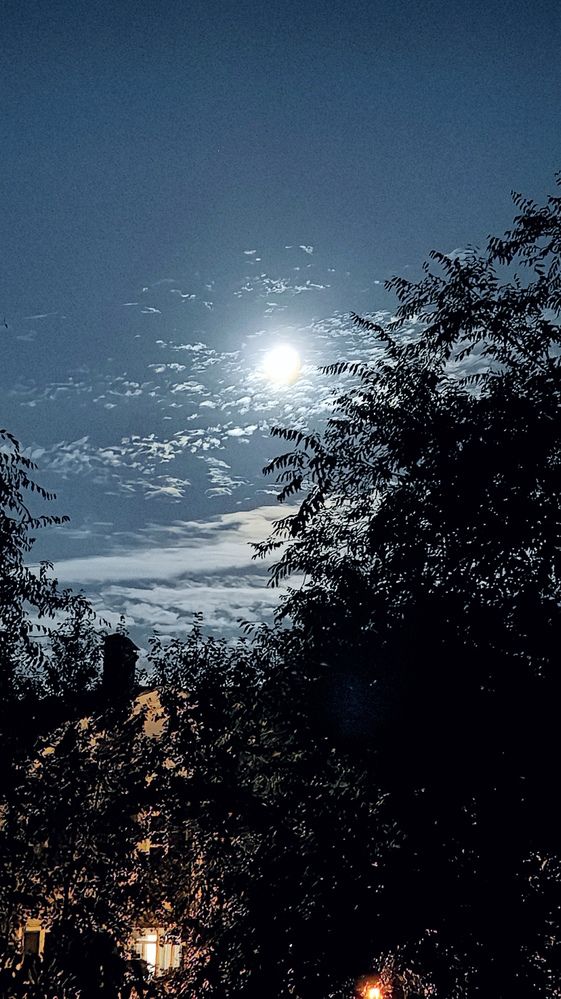 Photograph by Андрей Чернышов