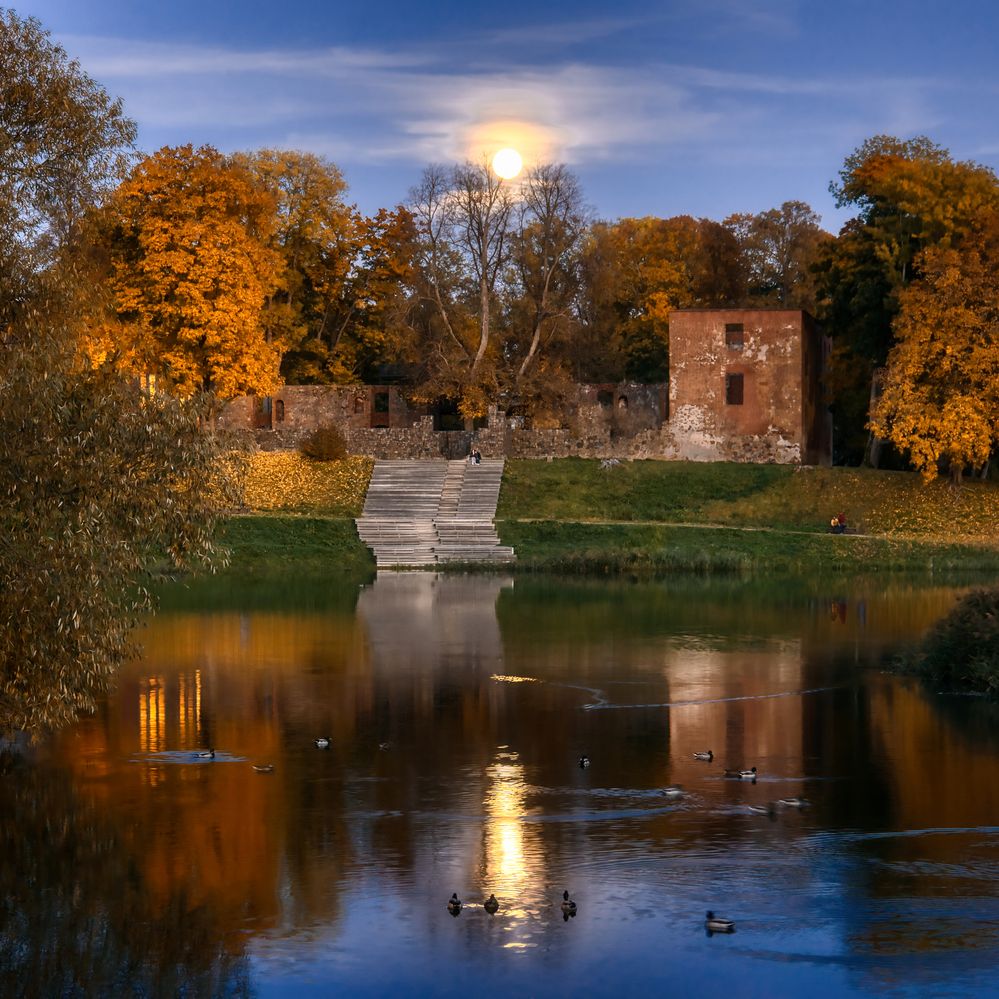 Photograph by Kulikova Albina