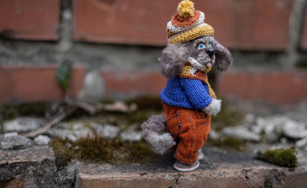 Photograph by Елена Карпова