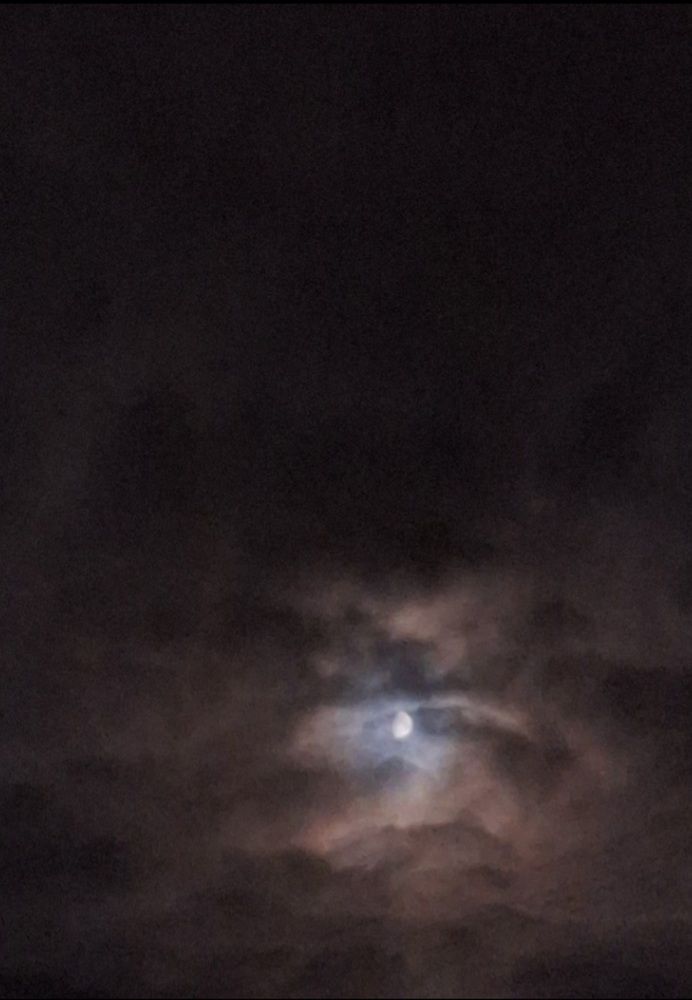 Фотография автора Елена Петрова