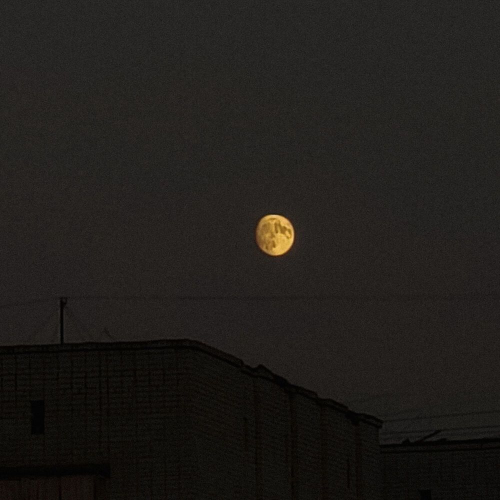 Photograph by Ангелина Бартанова