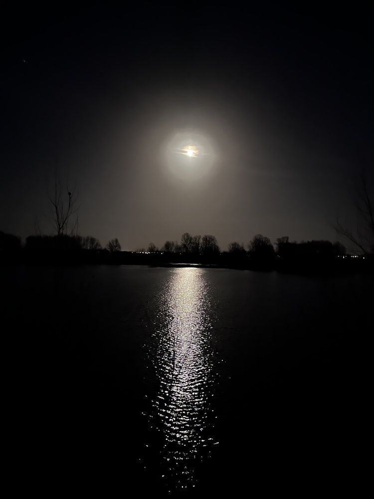 Photograph by Динара Dinara