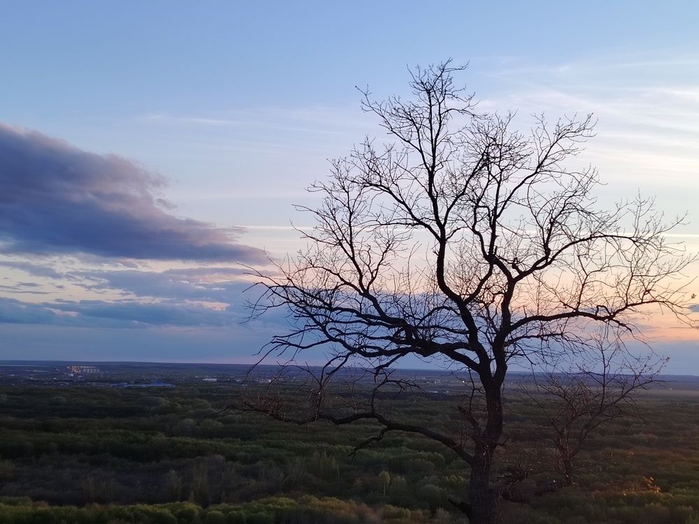 Photo #12561788