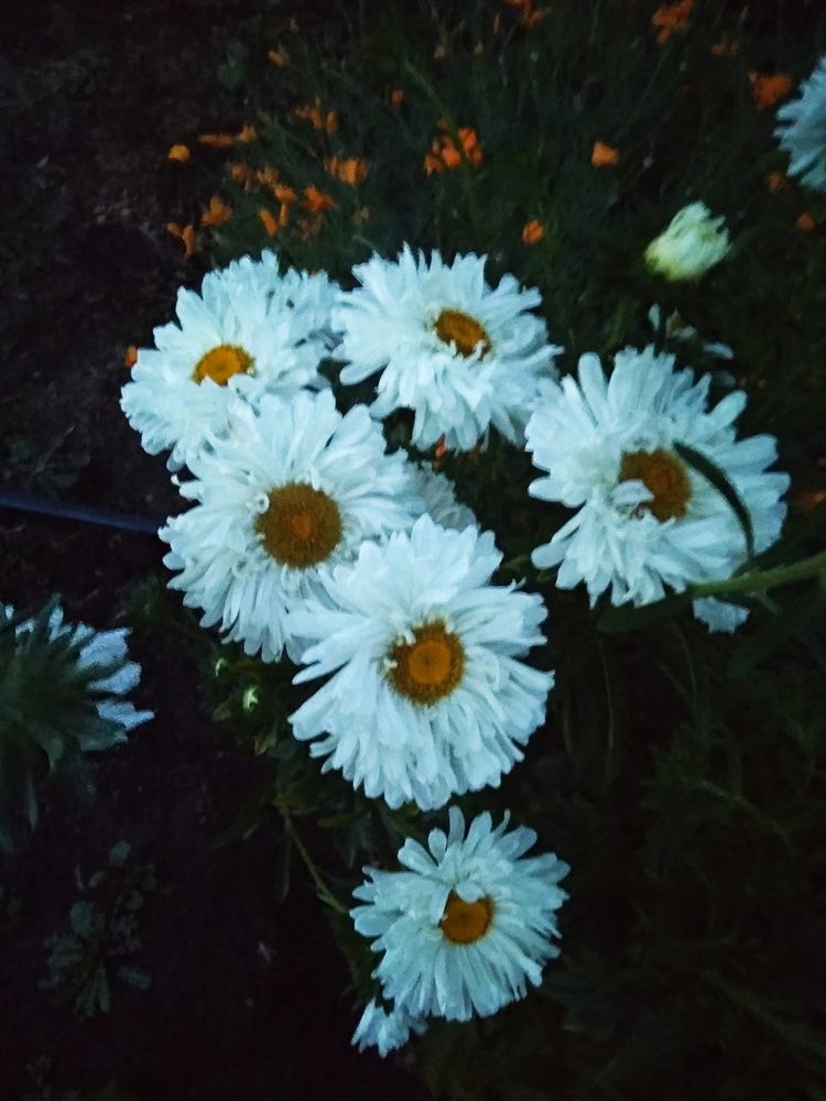 Photograph by Наталия Жернакова