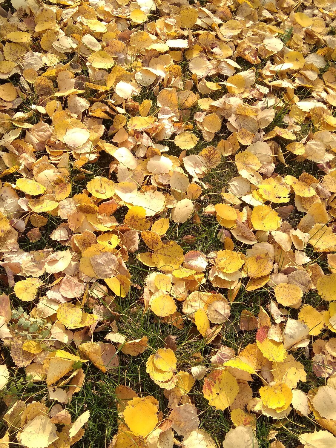 Photo #12561805