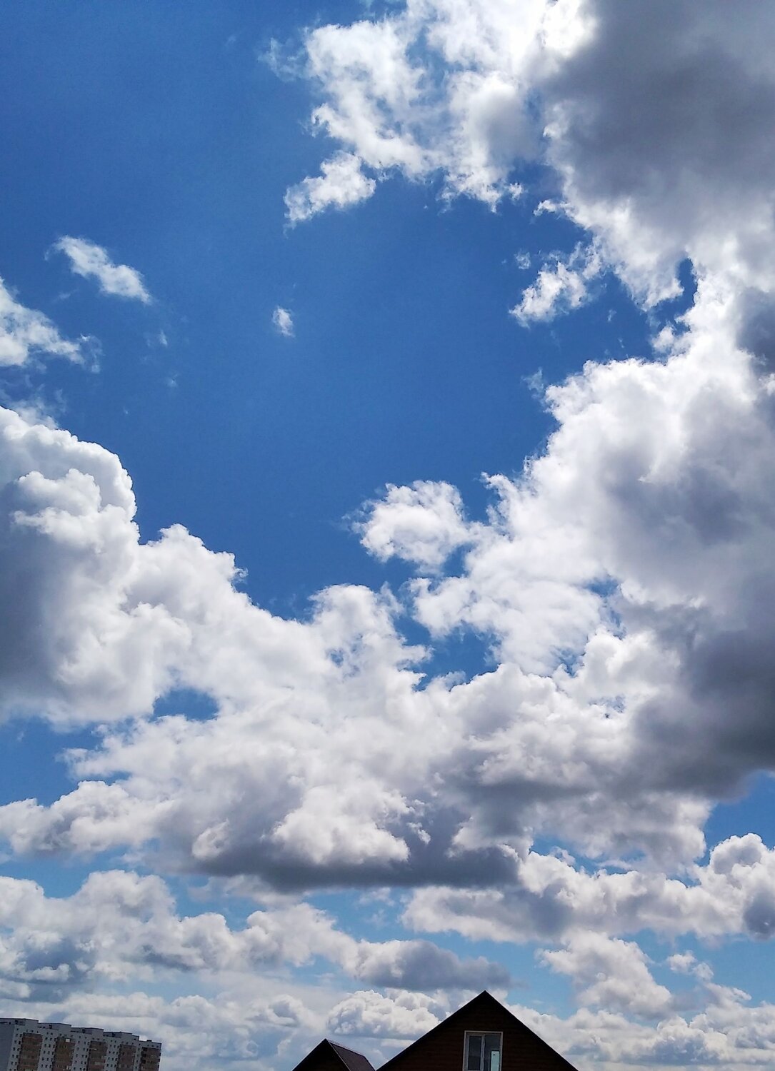 Photo #12561828