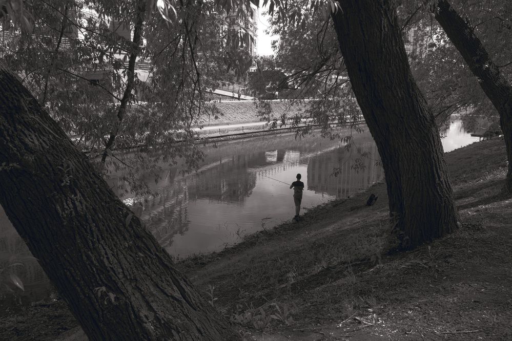 Photograph by Виктор Саврей