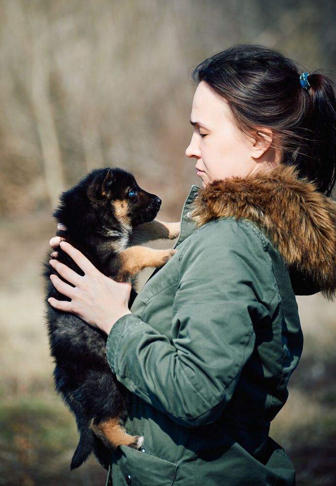 Photograph by Константин Громов