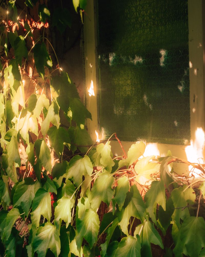 Photograph by alex.a3397