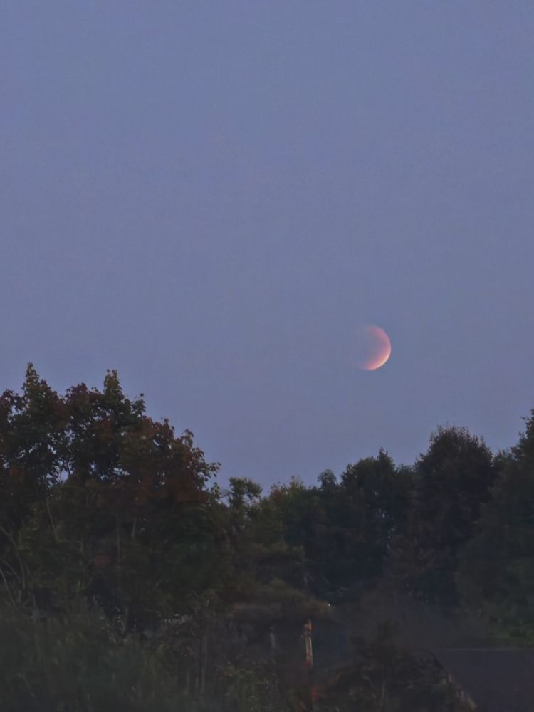 Фотография автора Наташа Данилова