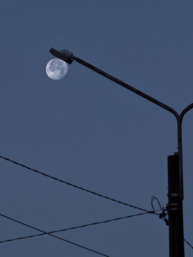 Фотография автора Наташа Данилова