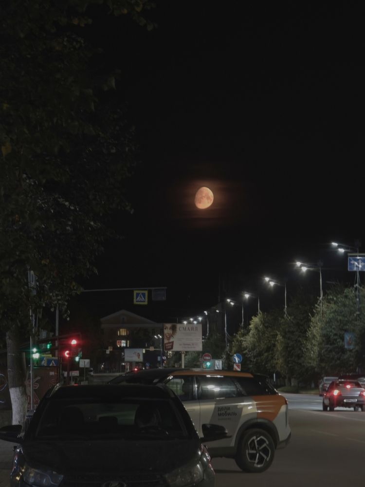 Фотография автора Наташа Данилова