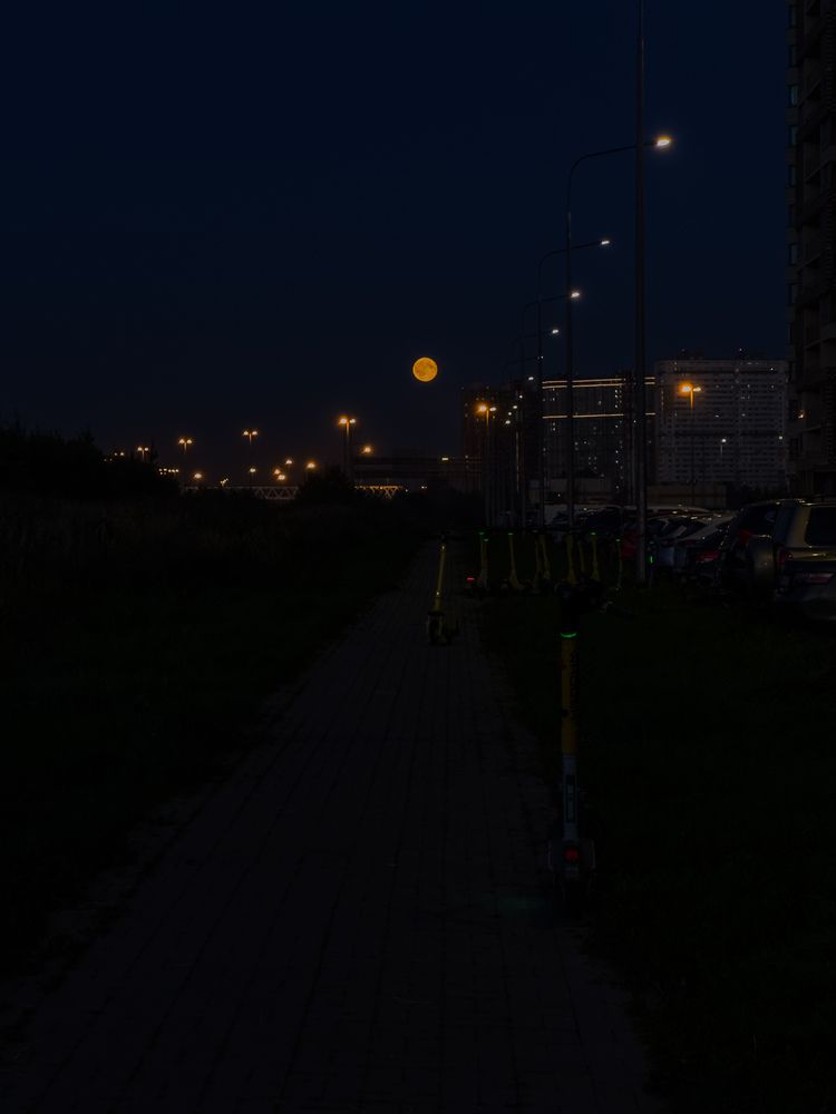 Photograph by Ася Жгенти