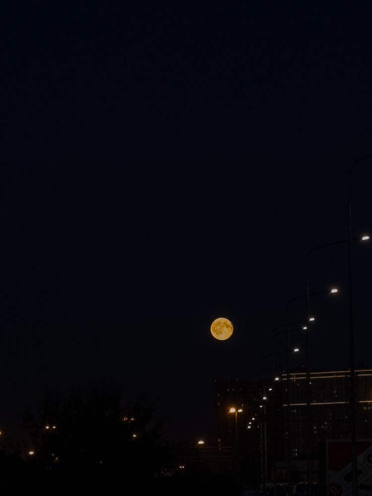 Photograph by Ася Жгенти