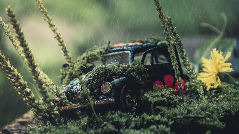 Фотография автора Александр Антипов