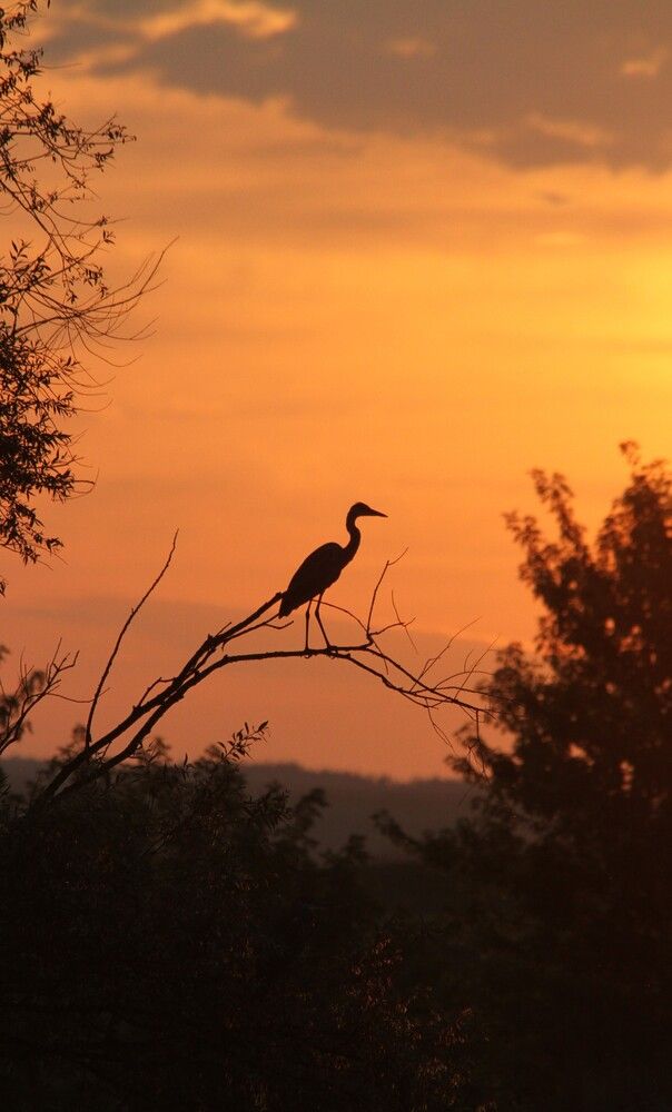 Photograph by Татьяна Шебаршенко