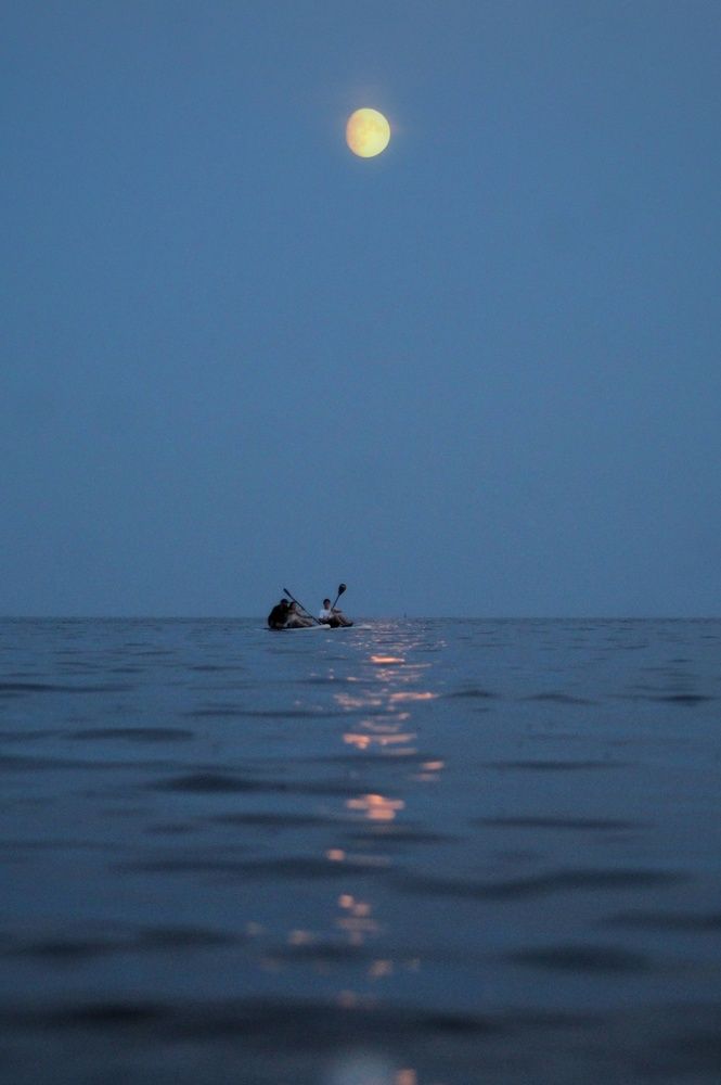 Photograph by Светлана Сергеева