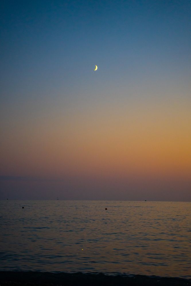 Фотография автора Василиса Новикова