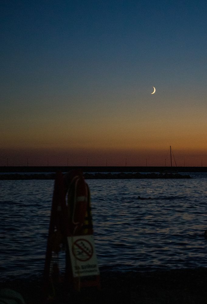 Фотография автора Василиса Новикова