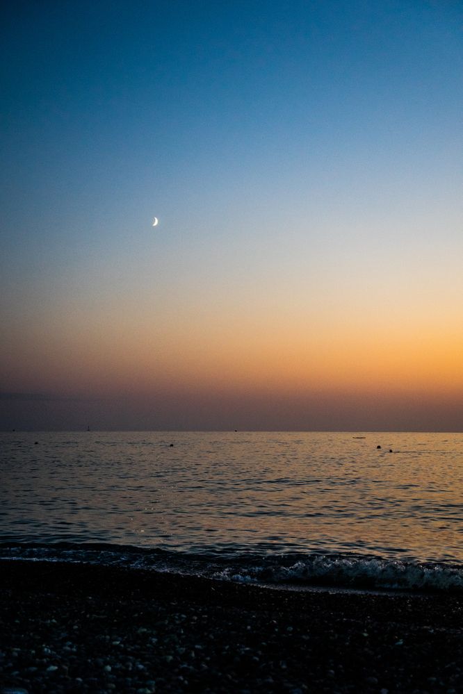 Фотография автора Василиса Новикова