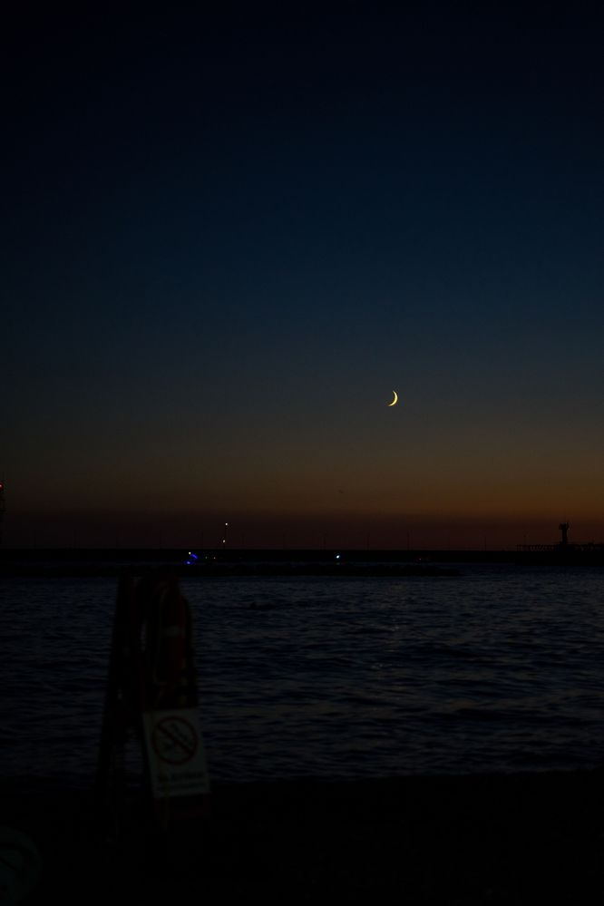 Фотография автора Василиса Новикова