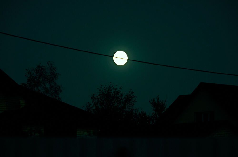 Photograph by Константин Громов