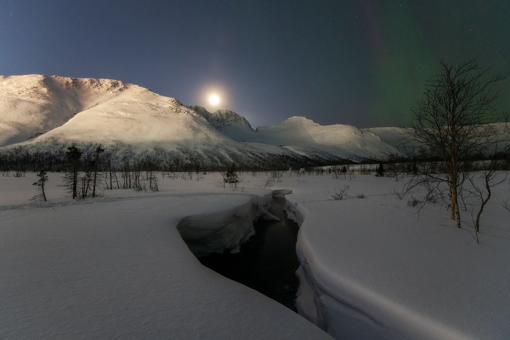 Photograph by Михаил Карпов