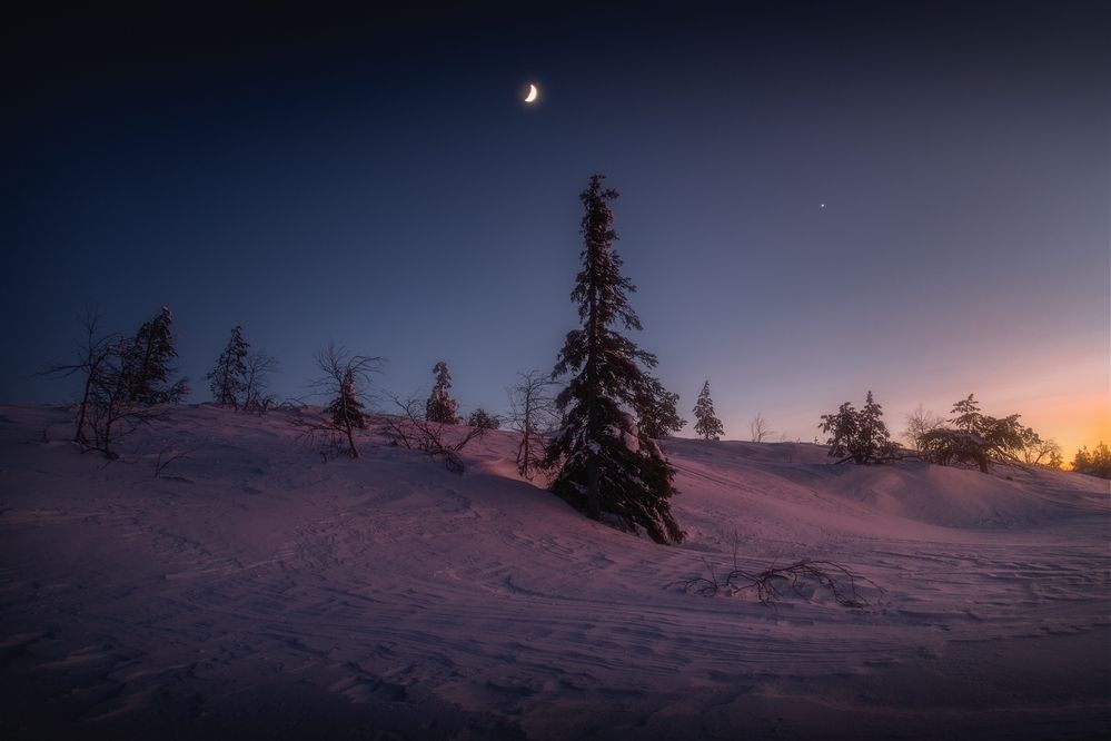 Photograph by Михаил Карпов