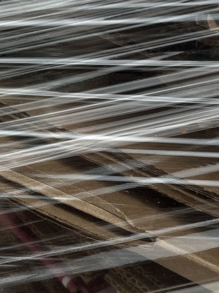 Фотография автора Яна Сидорова