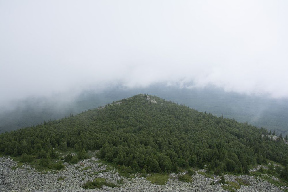 Photograph by Дмитрий Кравченко