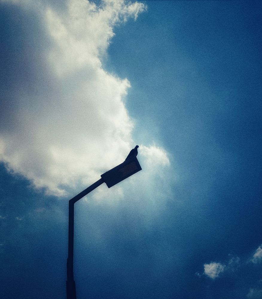 Photograph by Moamen Khaled