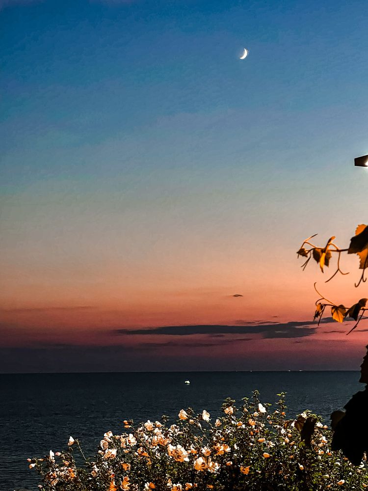 Лунная ночь