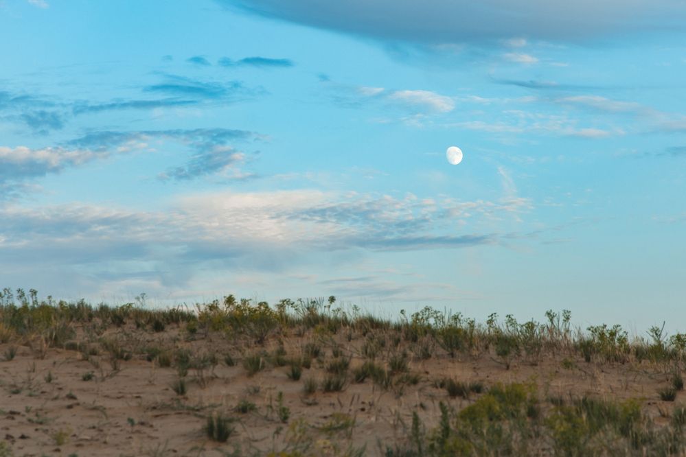 Фотография автора Артём Пышкин