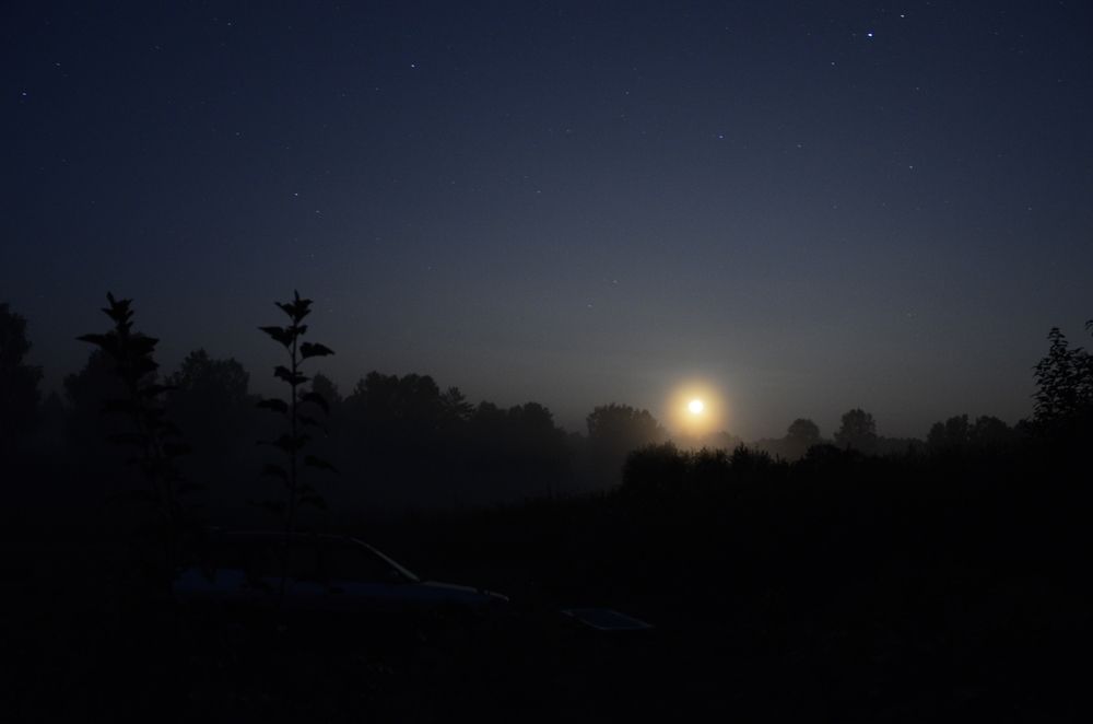 Photograph by Константин Громов