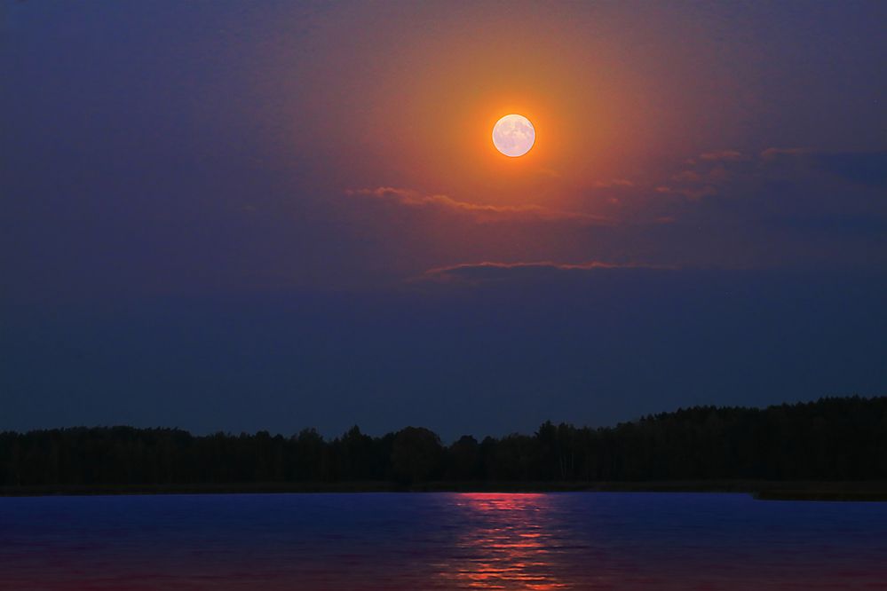 Photograph by Николай Протасеня