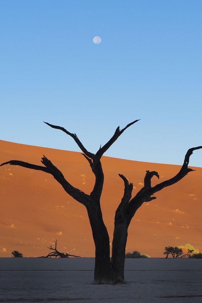 Photograph by Павел Сазанов