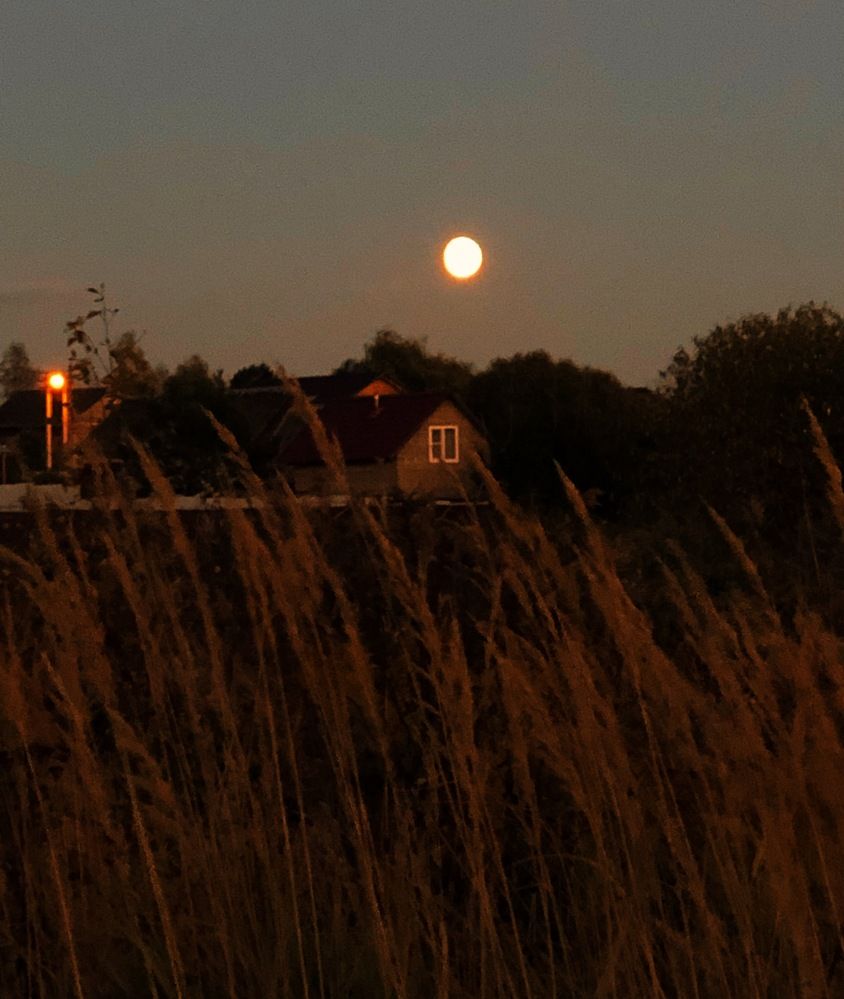 Photograph by Марина Георгиева