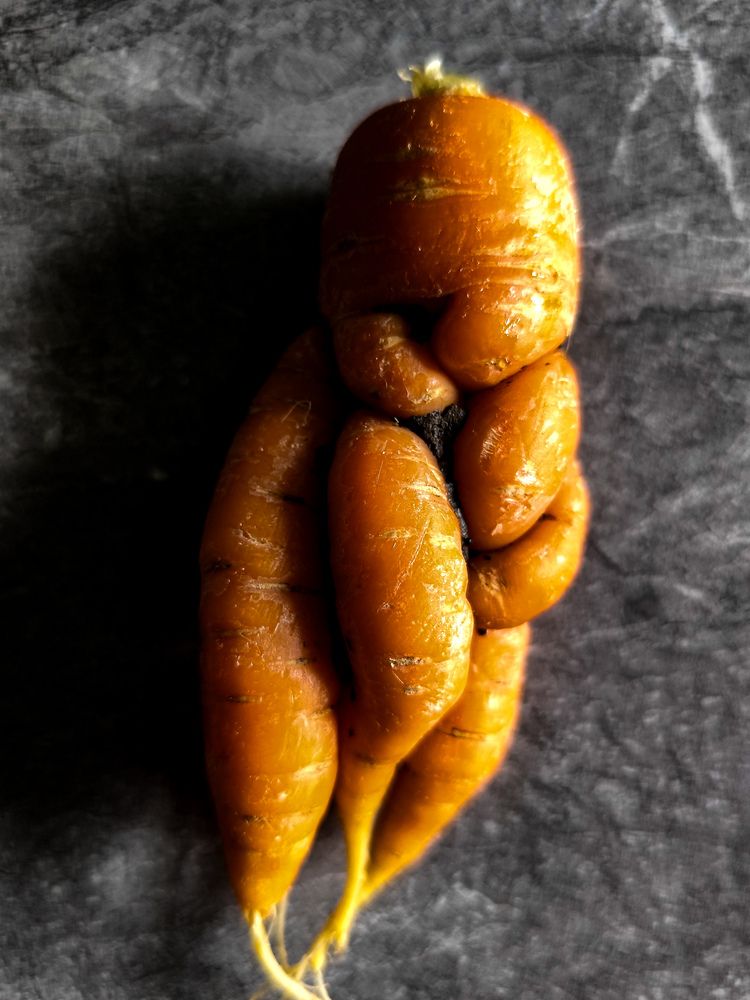 Фотография автора Татьяна Мишкина