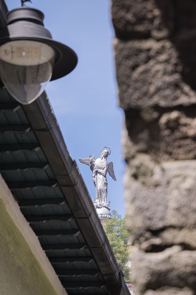 Photograph by Susie Castellano