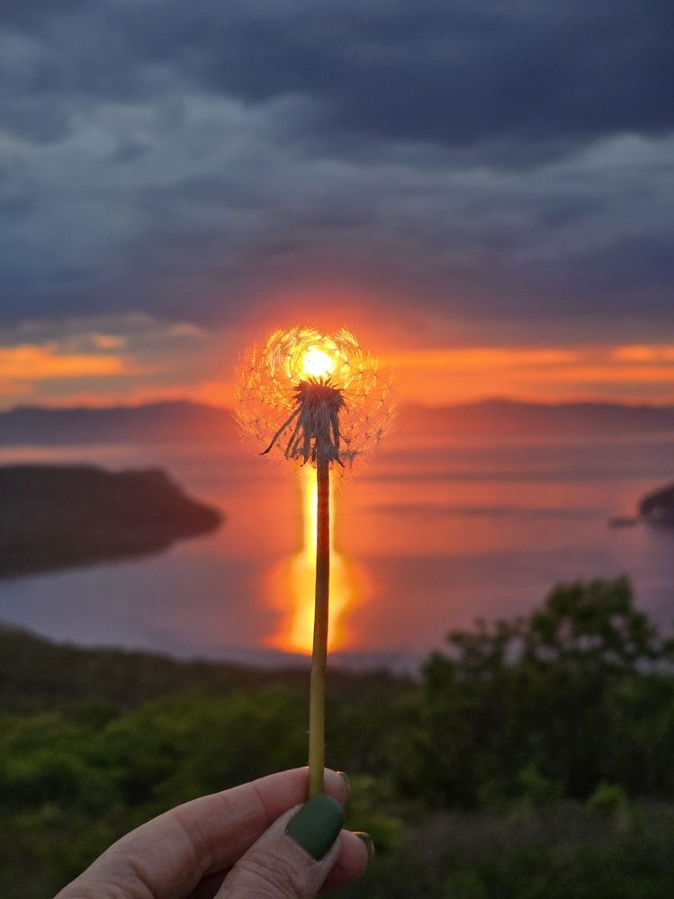 Photograph by Татьяна Дорожкина