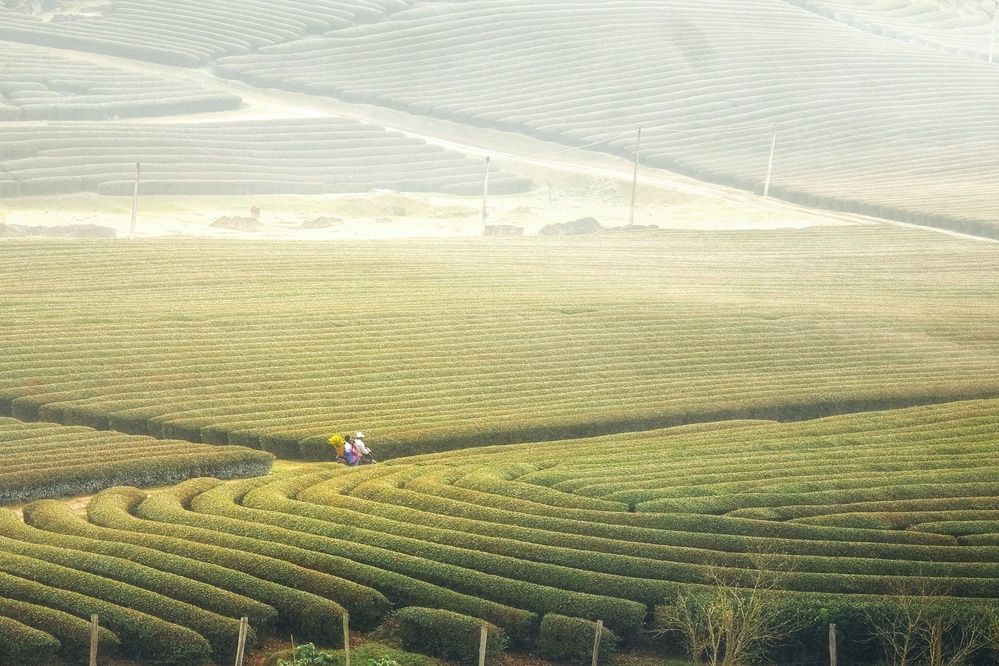 Photograph by A TAU