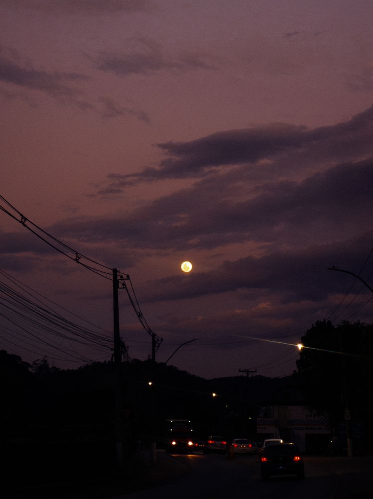 Photograph by Allan Carvalho