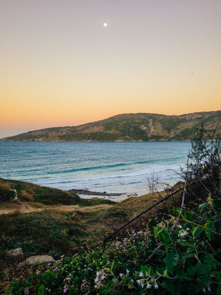 Фотография автора Allan Carvalho