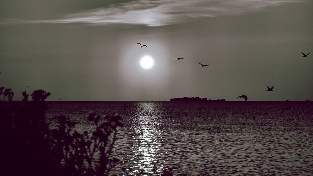 Photograph by Александр