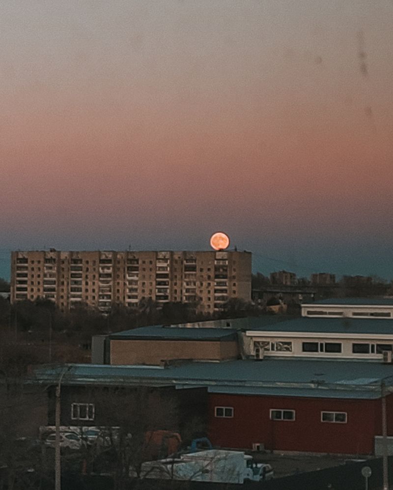 Photograph by Ирина Строкова