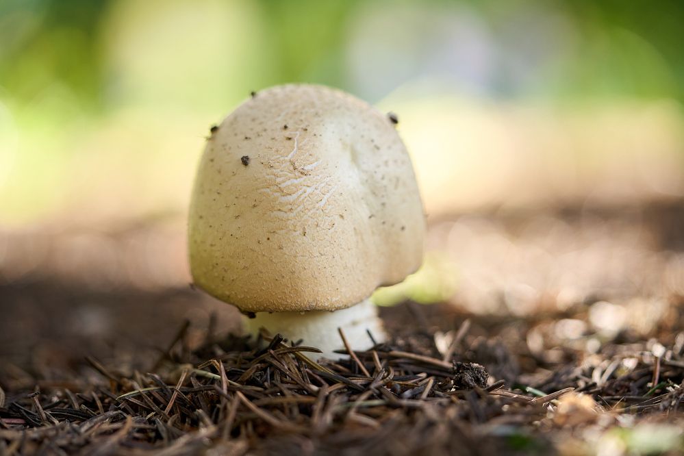 Photograph by Игорь Кад