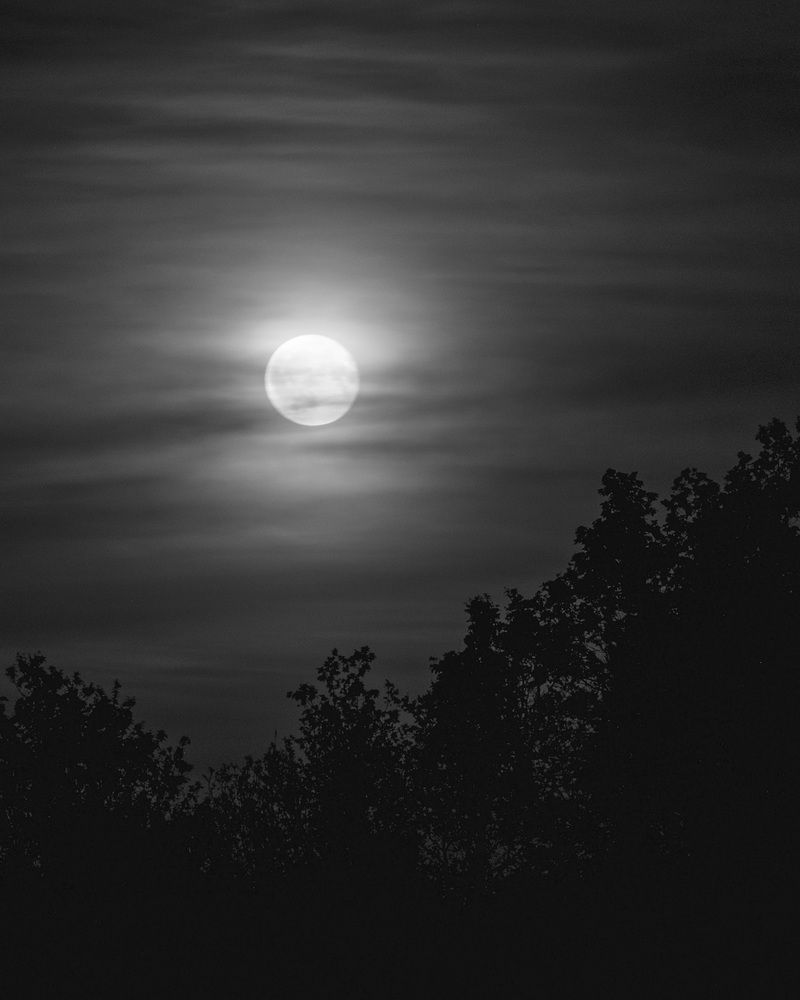 Photograph by Владимир Охрименко