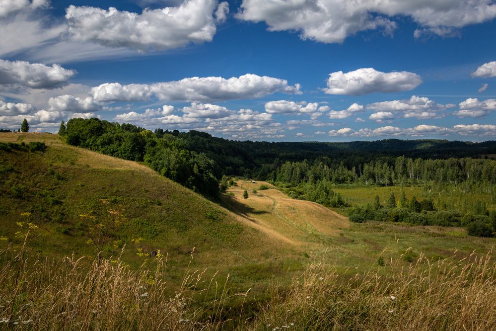 Фотография автора Светлана Верзилина