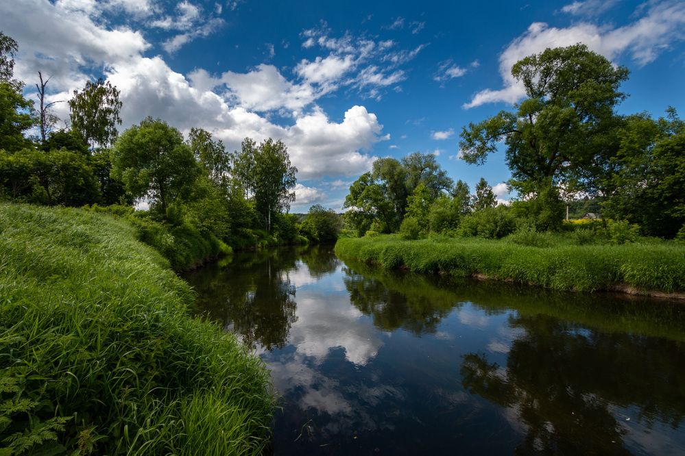 Фотография автора Светлана Верзилина