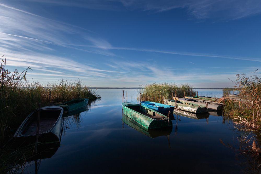 Фотография автора Светлана Верзилина